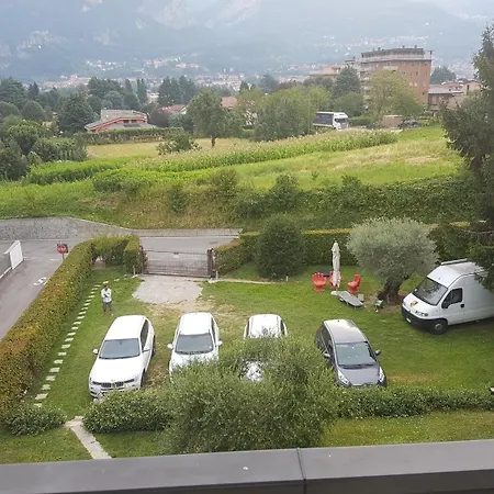 Ai Due Vecchi Ulivi