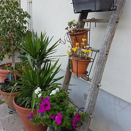 Ai Due Vecchi Ulivi Bed & Breakfast Garlate