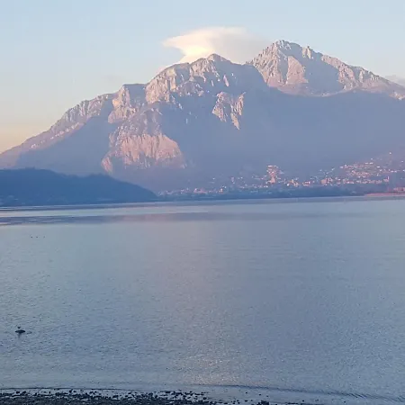 Ai Due Vecchi Ulivi Garlate